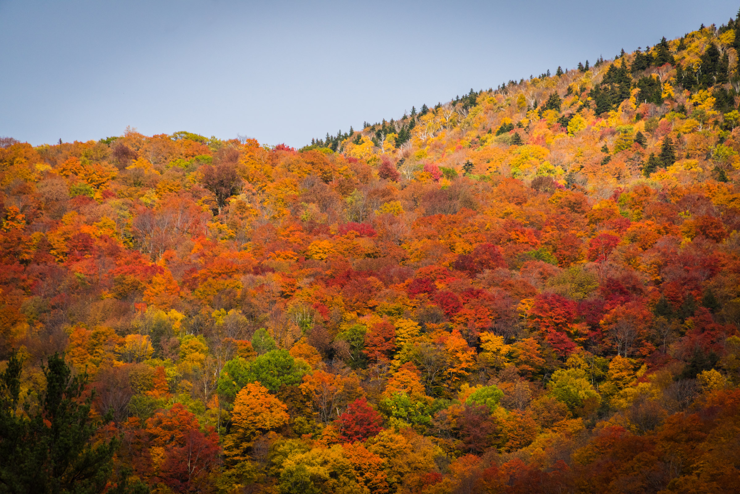 fall leaf peeping in vermont Jamie Bannon Photography Hartford